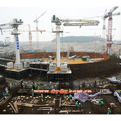 Yangjiang Nuclear Power Plant from Hebei Renlong Pipe Fittings Co., Ltd.