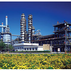 Karamay Petrochemical Plant from Hebei Renlong Pipe Fittings Co., Ltd.